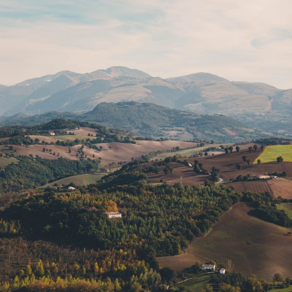 giorgio-marini-vT_N9vfyC3o-unsplash